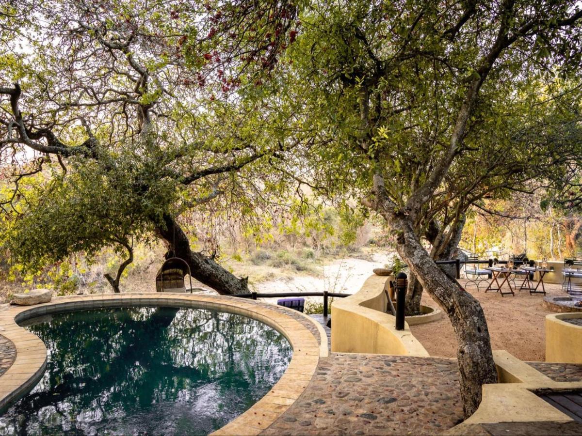 Shimungwe Lodge, Thornybush Game Reserve Hoedspruit Exteriör bild