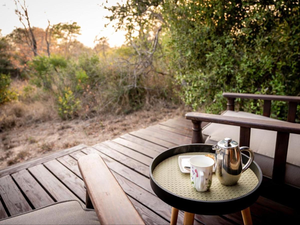 Shimungwe Lodge, Thornybush Game Reserve Hoedspruit Exteriör bild