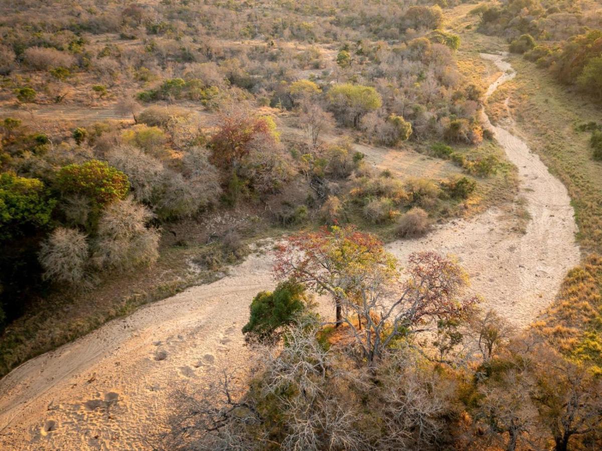 Shimungwe Lodge, Thornybush Game Reserve Hoedspruit Exteriör bild