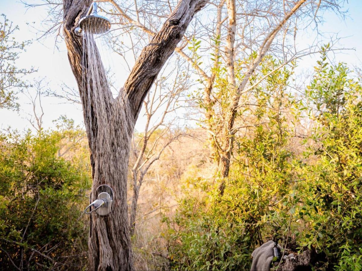 Shimungwe Lodge, Thornybush Game Reserve Hoedspruit Exteriör bild